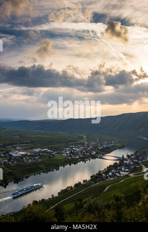I vigneti intorno a Piesport e una nave da crociera sul fiume Moselle, valle della Mosella, Renania-Palatinato, Germania Foto Stock
