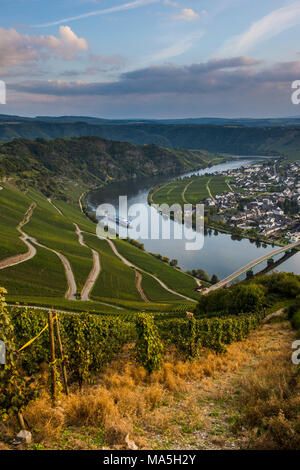 I vigneti intorno a Piesport e una nave da crociera sul fiume Moselle, valle della Mosella, Renania-Palatinato, Germania Foto Stock