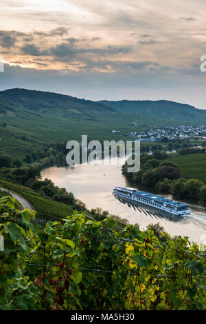 Spedizione Cruiseship attraverso i vigneti circostanti la Mosella a Trittenheim, valle della Mosella, Renania-Palatinato, Germania Foto Stock