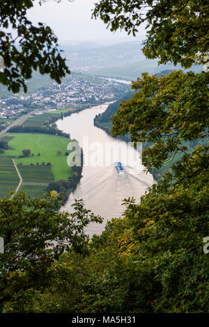 I vigneti intorno a Piesport e una nave da crociera sul fiume Moselle, valle della Mosella, Renania-Palatinato, Germania Foto Stock