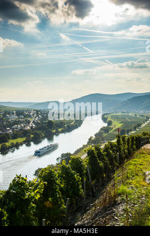 La nave di crociera in controluce sul fiume Moselle vicino Wintrich, valle della Mosella, Renania-Palatinato, Germania Foto Stock