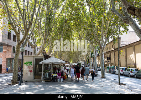 L'Europa, Isole Baleari Maiorca, Palma de Mallorca Foto Stock