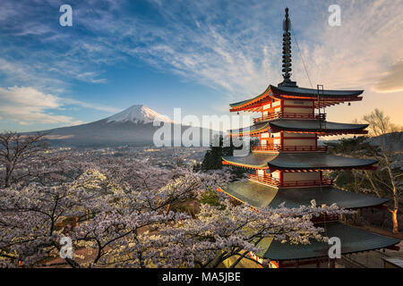 Il monte Fuji con una pagoda rossa in primavera con la fioritura dei ciliegi, Giappone Foto Stock