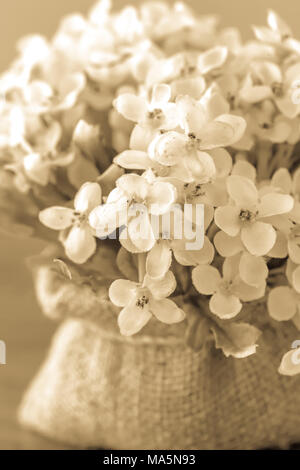 In prossimità dei fiori in tessuto sul sacco in grigio del tono di colore Foto Stock