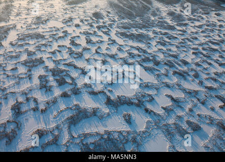 Le paludi sono coperti di neve, vista dall'alto Foto Stock