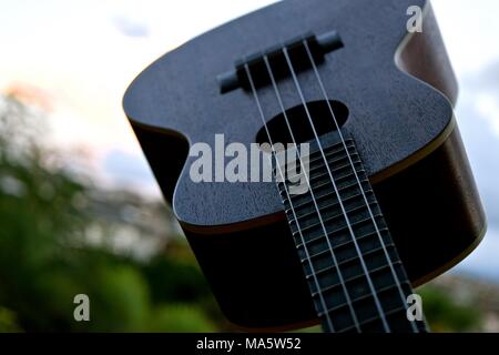 Hawaiian Ukelele adattamento dal Portugese machete, una piccola chitarra come strumento. Foto Stock