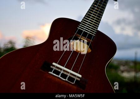 Hawaiian Ukelele adattamento dal Portugese machete, una piccola chitarra come strumento. Foto Stock
