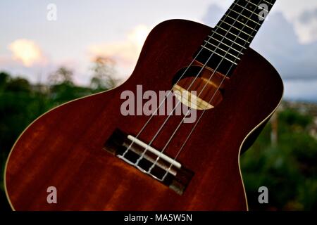 Hawaiian Ukelele adattamento dal Portugese machete, una piccola chitarra come strumento. Foto Stock
