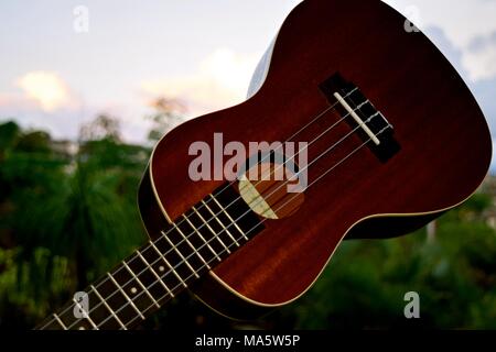 Hawaiian Ukelele adattamento dal Portugese machete, una piccola chitarra come strumento. Foto Stock