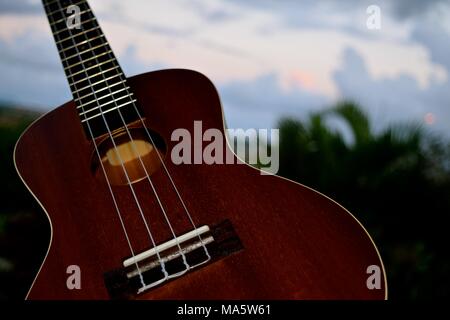 Hawaiian Ukelele adattamento dal Portugese machete, una piccola chitarra come strumento. Foto Stock