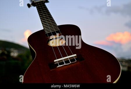 Hawaiian Ukelele adattamento dal Portugese machete, una piccola chitarra come strumento. Foto Stock