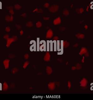 Red petali di rose sono rientranti verso il basso. Illustrazione Vettoriale