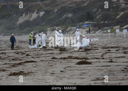 Refugio risposta dell'olio. Operazioni di fauna selvatica equipaggi lavorano per proteggere Western snowy plover nidi a carbone punto Olio di riserva. I partner provenienti da Stati Uniti Pesci e fauna selvatica Servizio, University of California Santa Barbara in California e Dipartimento di pesci e fauna selvatica lavorano insieme per proteggere uccelli nidificanti mentre il clean-up equipaggi rimuovere olio dalla zona della spiaggia. Foto Stock