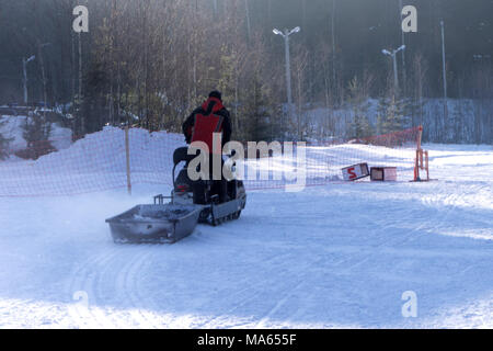 Uomo di sport di guida motoslitta in Lapponia finlandese in una giornata di sole Foto Stock