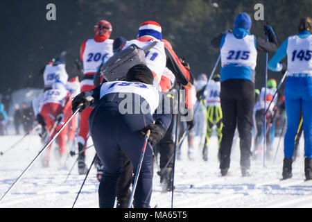 Il gruppo leader presso la maratona di sci in stile classico Foto Stock
