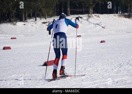 Sciatore sulla montagna sezione sport sportive Foto Stock