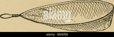 . Entomologia elementare . Fig. 470. Sag net, gancio e spazzola per col- riflettenti in rapids (Dopo Needham) un setaccio acquatici net (Fig. 471). Questa rete è destinata a essere utilizzata in acqua stagnante o su fondi sabbiosi dove c'è ma httle vegetazione. Il telaio è costituito da un acciaio Hght asta, i lati di stagno pesante o ferro zincato, e un fondo di ottone sottile o zincato Foto Stock