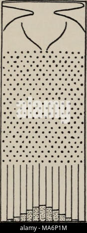 . Elemente der exakten erblichkeitslehre. Deutsche wesentlich erweiterte ausgabe in fünfundzwanig vorlesungen Foto Stock