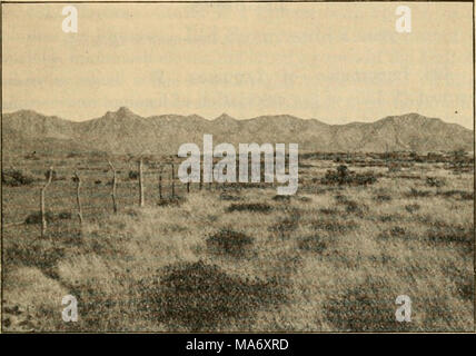 . Principi elementari dell'agricoltura : un libro di testo per le scuole comuni Foto Stock