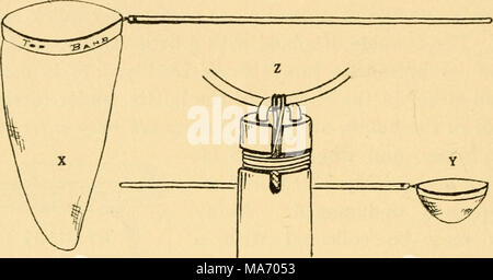 . Lezioni elementari su insetti . Fig. 61.-Reti per la raccolta di insetti. X, una rete di aria compressa; Y, un'acqua dip net; Z, un semplice metodo di fissaggio fatta in casa rim e maniglia. Con net, quando gli insetti sono state spazzate all'interno, un rapido giro del polso chiude la sua bocca e li mantiene fino a quando una bottiglia di cianuro può essere introdotto a riceverli. Un po' di pratica consentirà uno qualsiasi di utilizzare questi strumenti in modo efficace. Un calo netto per i singoli la raccolta dovrebbe essere poco profonde e a fondo piatto (in modo che il nottolino può essere visto in esso prima della rimozione). Esso deve avere un bordo abbastanza rigido per stand spingendo e ou Foto Stock