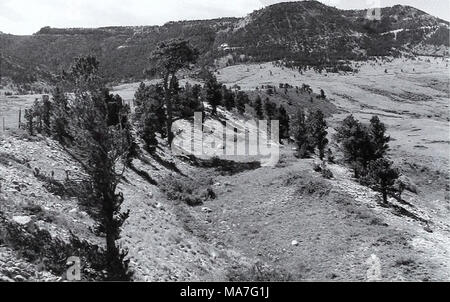 . Ottanta anni di vegetazione e il paesaggio cambia nel nord della Grande Pianura : un archivio fotografico . Foto Stock