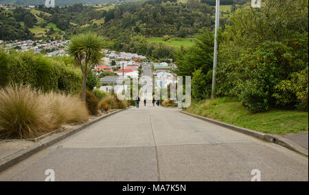 Baldwin Street, la strada più ripida del mondo, Dunedin, Nuova Zelanda Foto Stock