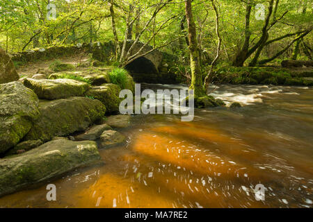 Hisley ponte sopra il fiume Bovey nel Parco Nazionale di Dartmoor vicino Lustleigh, Devon, Inghilterra. Foto Stock