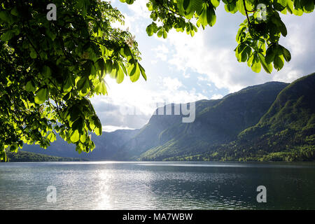 Il lago di Bohinj su un bel pomeriggio di primavera con foglie di albero in primo piano, sulle Alpi Giulie, Slovenia Foto Stock