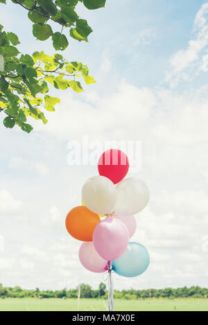 Grappolo di palloncini colorati con prati verdi e blu del cielo. Foto Stock