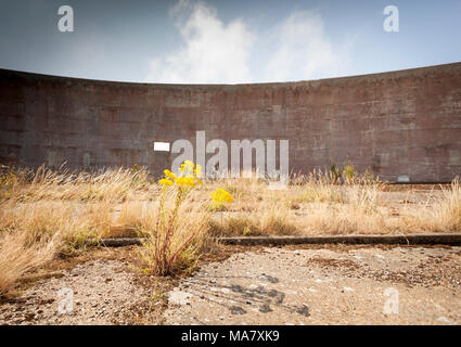 Suoni Denge specchi su RSPB terreni vicino Lydd, Kent, Regno Unito. Pre-ascolto radar orecchie. Foto Stock