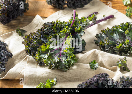 Organico rosso sano Kale pronto a mangiare Foto Stock