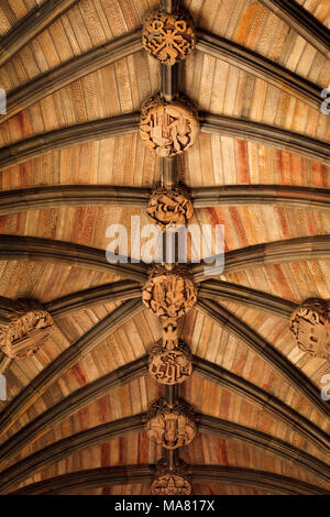 Abbazia di Paisley e punti di riferimento in Scozia Foto Stock