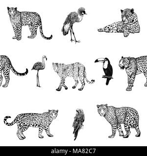 Modello senza giunture di mano il bozzetto style leopardi e uccelli esotici isolati su sfondo bianco. Illustrazione Vettoriale. Illustrazione Vettoriale