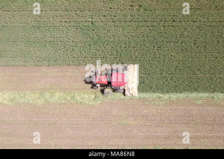 Riprese aeree di un Rosso Mietitrebbia Harvest un verde campo di grano Foto Stock