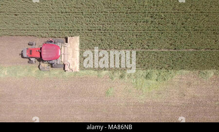 Riprese aeree di un Rosso Mietitrebbia Harvest un verde campo di grano Foto Stock