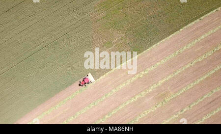 Riprese aeree di un Rosso Mietitrebbia Harvest un verde campo di grano Foto Stock