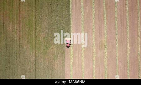 Riprese aeree di un Rosso Mietitrebbia Harvest un verde campo di grano Foto Stock