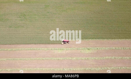 Riprese aeree di un Rosso Mietitrebbia Harvest un verde campo di grano Foto Stock