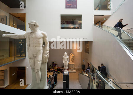 Oxford. In Inghilterra. Il museo Ashmolean Museum, atrio interno. Statua di Apollo (in primo piano) in Zvi e Ofra Meitar Family Fund Atrium. Foto Stock