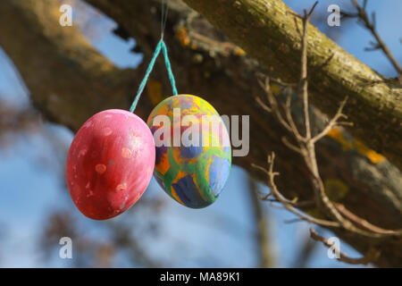 Decorate le uova di Pasqua di appendere i rami dell'albero. Foto Stock