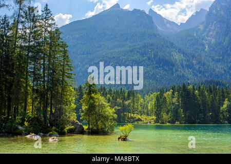 Verde come Hinter contro blue mountain Foto Stock