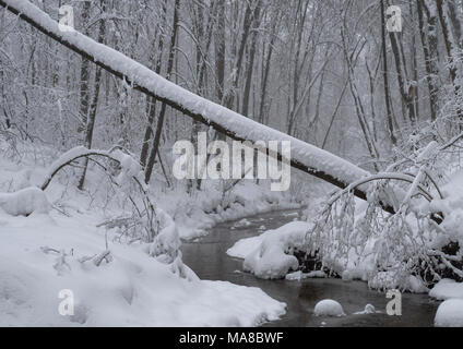 Alberi coperti di neve fresca in un freddo e nevoso inverno giorno e piccola foresta fiume Foto Stock
