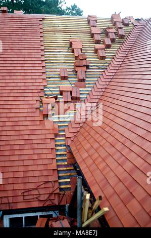 Parte di una serie di foto che mostrano disrepair originale, quindi la ristrutturazione del tetto di tegole, grondaie etc sul Novecento casa di mattoni in Shropshire REGNO UNITO Foto Stock