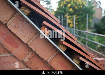 Parte di una serie di foto che mostrano disrepair originale, quindi la ristrutturazione del tetto di tegole, grondaie etc sul Novecento casa di mattoni in Shropshire REGNO UNITO Foto Stock