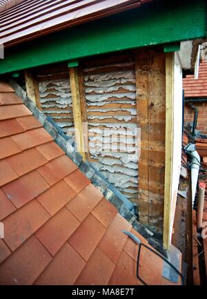 Parte di una serie di foto che mostrano disrepair originale, quindi la ristrutturazione del tetto di tegole, grondaie etc sul Novecento casa di mattoni in Shropshire REGNO UNITO Foto Stock