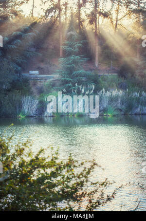 Ipnotizzante paesaggio di campagna: Franklin Canyon Lake riempito con la luce del sole dorato, Beverly Hills, in California Foto Stock