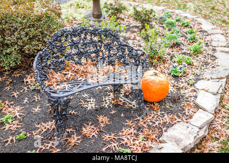 Decorativi in metallo banco all'aperto sulla veranda giardino nel cortile anteriore della casa con arancione zucca, Brown dry fogliame di autunno caduta foglie, piante e fiori Foto Stock