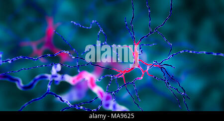 Neuroni dopaminergici, illustrazione del computer. I neuroni dopaminergici sono cellule cerebrali il cui principale neurotrasmettitore è la dopamina. La degenerazione di queste cellule porta a i sintomi del morbo di Parkinson. Questi sintomi includono tremore, rigidità muscolare, scarso equilibrio e depressione. Cellule gliali-derived neurotrophic factor promuove la sopravvivenza e la differenziazione dei neuroni dopaminergici e quindi possono essere utili come un trattamento. Foto Stock