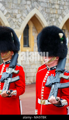 I soldati in regina della guardia al Castello di Windsor in Inghilterra, con uniforme rosso e nero tradizionale berretto in pelliccia di orso o busby marciando con bracci con spallamento Foto Stock