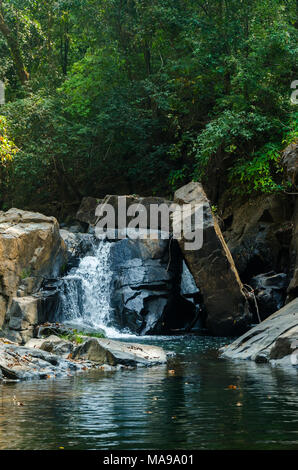 Una piccola cascata che si incontra sul percorso a cascata Mainapi in Netravali Wildlife Sanctuary, Goa. Foto Stock